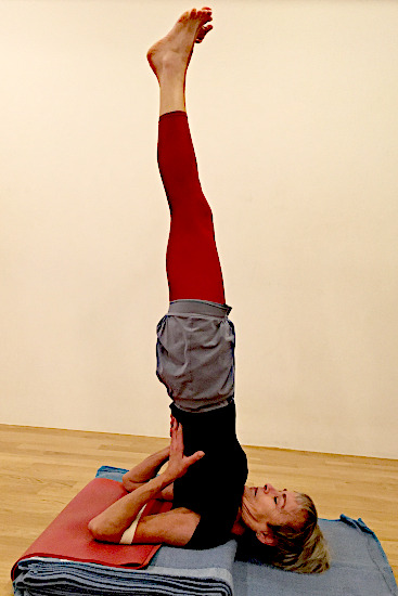 Asana